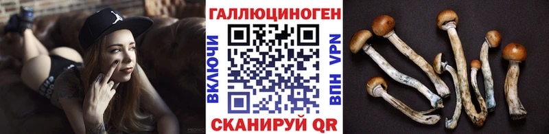 Галлюциногенные грибы Cubensis  купить наркоту  Сельцо 